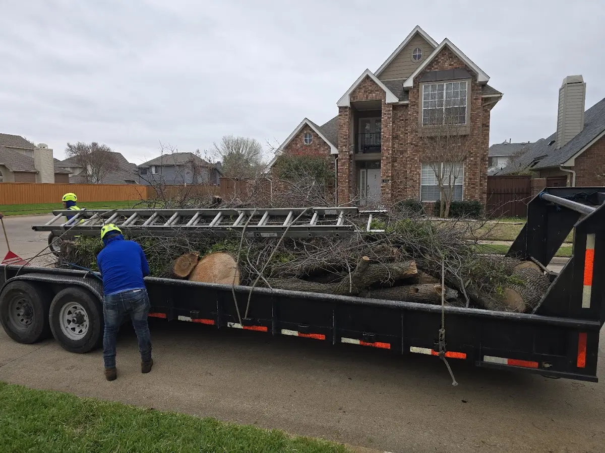 Expert Lot Clearing with proper safety equipment in Plainfield